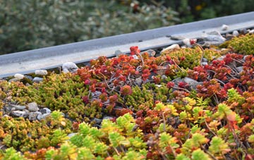 the cost of Moorbath green roof installation