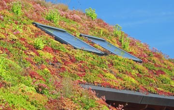 Moorbath living roof systems