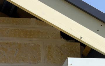 soffit repair Moorbath